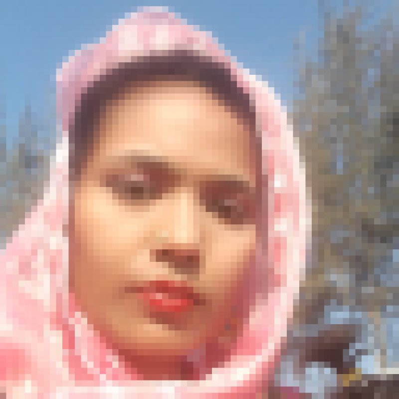 Maglia68303 dating