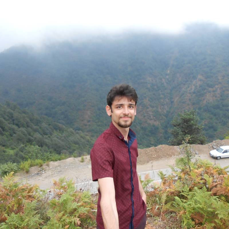 hosein, 35, Killimangalam