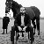 Feroz, 30, Ghonch