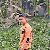 Md Monir, 25, Jind