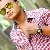 Sohel Raz, 33, Ribeirpolis