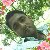 Sahidul Islam, 35, Kovilpatti