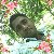 Sahidul Islam, 35, Dvr Krlov Nad Labem