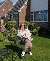 Holz, 51, Bileca