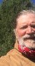 scott, 64, Mostardas