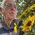 Peter, 67, Ir