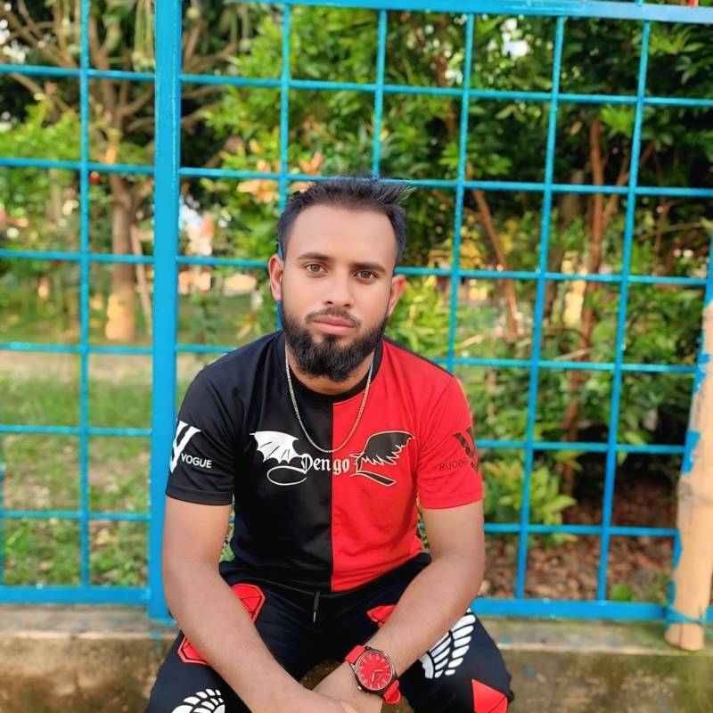 mdismailislam, 26, Summit
