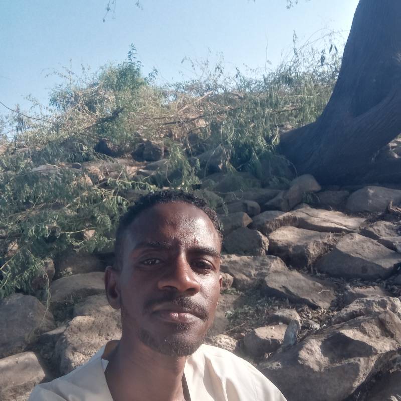 https://waydate.com dating Sudan❤️eagle in Sudan